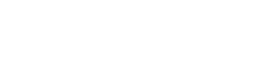 Logo2